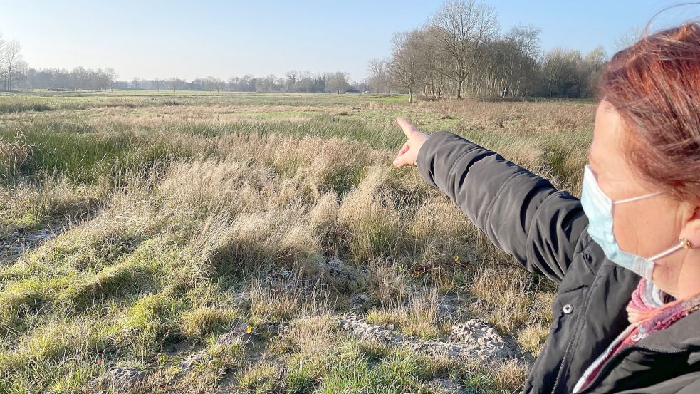 Brundhild Wallenstein vom Ortsrat Rhaudermoor zeigt, wo die Erweiterung des Gewerbegebietes geplant ist. Die Waldbereiche wurden bereits aus der Planung genommen, der Rest der Fläche ist problematisch. Foto: Janßen