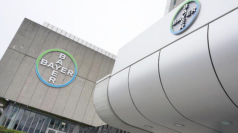 Blick auf das Logo des Chemiekonzerns Bayer in der Müllerstraße in Berlin. (Archivbild). Foto: Jörg Carstensen/dpa