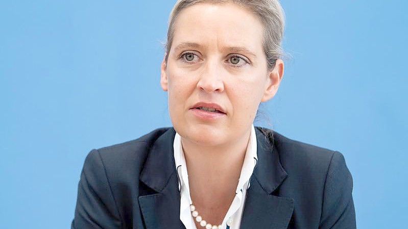 Die AfD-Fraktionsvorsitzende Alice Weidel. Foto: Bernd von Jutrczenka/dpa