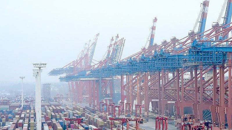 Carrier fahren auf dem Eurogate Container Terminal zu den Containerbrücken. Foto: Marcus Brandt/dpa