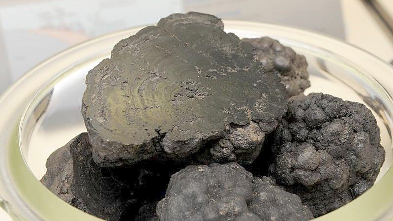 Im Rohstofflabor des Tiefseeforschungsschiffes "Sonne" liegen Manganknollen in einer Schale. Das wertvolle Erz aus der Tiefsee enthält neben Mangan auch Kobalt, Kupfer und Seltene Erden. Foto: picture alliance / dpa