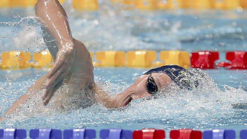 Florian Wellbrock kam bei der Kurzbahn-WM über 1500 Meter Freistil in Weltrekordzeit ins Ziel. Foto: Kamran Jebreili/AP/dpa