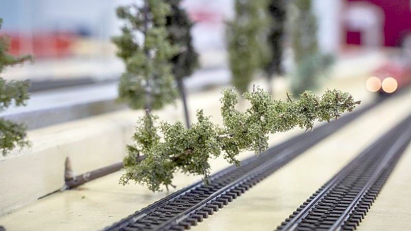 Per Fernbedienung lassen sich auf der Modellanlage im Eisenbahnbetriebsfeld Darmstadt (EBD) auch Bäume über die Strecke legen, um unerwartete Szenarien darstellen zu können. Foto: Frank Rumpenhorst/dpa