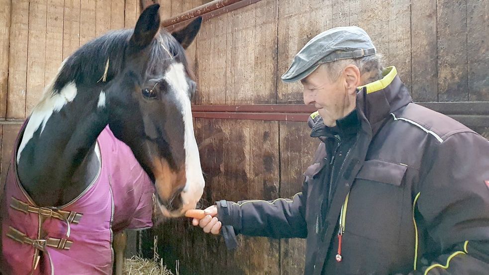 Heiligabend ein festes Ritual für Albert Smidt: Bevor die Feier mit der Familie beginnt, geht er in den Stall, verteilt an jedes Pferd Möhren und genießt diesen Moment der Ruhe. Foto: Gettkowski