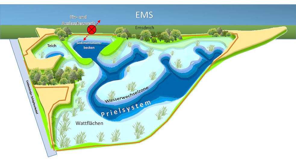 Die Grafik zeigt, wie die Fläche einmal aussehen soll - mit Wattflächen, einem Prielsystem und einem Teich. Grafik: Niedersächsischer Landesbetrieb für Wasserwirtschaft