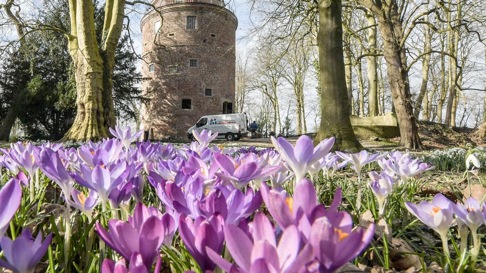 Die historische Burg Stickhausen ist saniert. Das wird gefeiert.