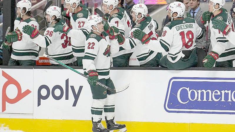 Verloren im Winter Classic gegen gegen die St. Louis Blues: Minnesota Wild. Foto: Tony Avelar/AP/dpa/Archivbild