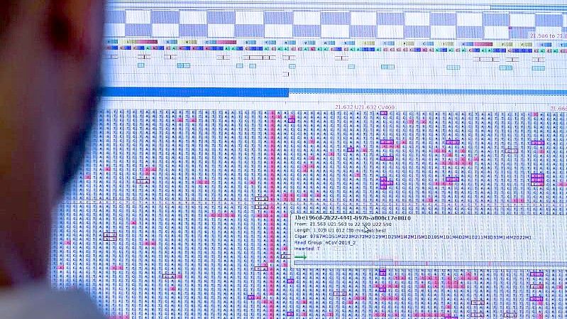 Am Computermonitor sucht Christian Kohler im Sequenzierlabor für Corona-Varianten (CoMV-Gen) in der Universitätsmedizin Greifswald nach neuen Varianten und Mutationen des Corona-Virus. Foto: Jens Büttner/dpa-Zentralbild/dpa