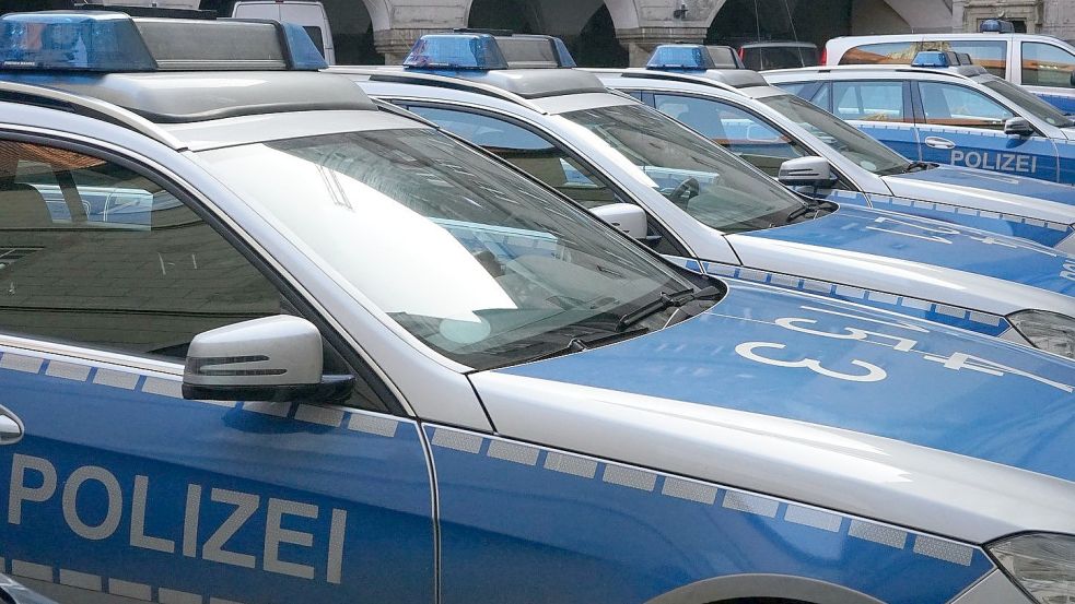 Eine Streifenwagenbesatzung kontrollierte das Auto. Symbolfoto: Pixabay
