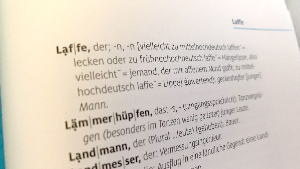 Woher kommt eigentlich das Wort „Laffe“ - und was bedeutet es? Der Blick in den Duden gibt Aufschluss. Foto: Stefan Lüddemann Foto: Stefan Lüddemann