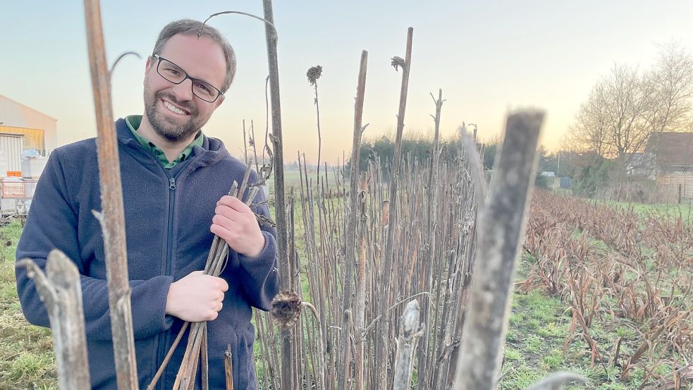 Verblüht: Von den Sonnenblumen, die im Spätsommer auf dem Feld am Rajen zum Selbstpflücken lockten, sind nur trockene Stängel geblieben. Felix Schary wird auch keine neuen aussäen. Er gibt das Blumenfeld in Rhauderfehn auf. Foto: Janßen