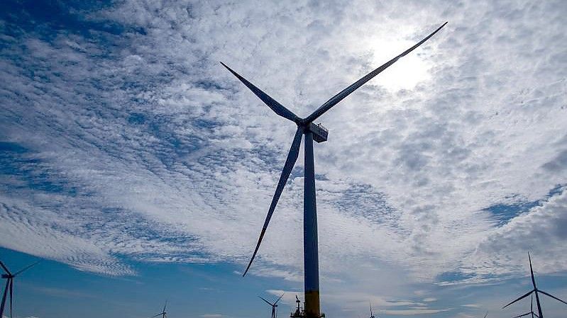 Windräder des Offshore-Windparks „Baltic 2“ vor Rügen. Foto: Jens Büttner/dpa-Zentralbild/dpa