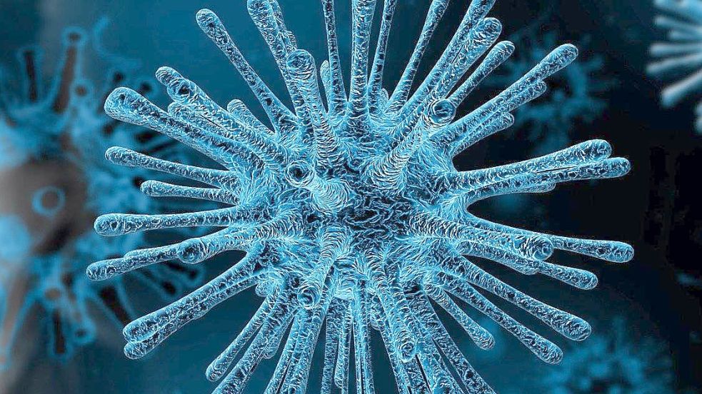 Das Coronavirus. Foto: Pixabay