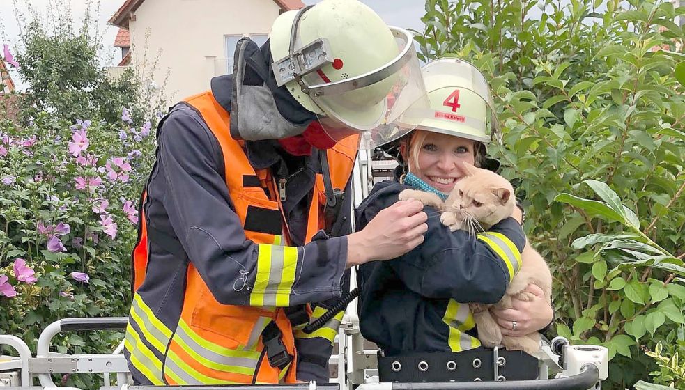 Wenn Feuerwehrleute eine Katze aus dem Baum holen, so wie hier, kann dieser Service in einigen Kommunen teuer werden. Symbolfoto: Wiesbaden 112/DPA