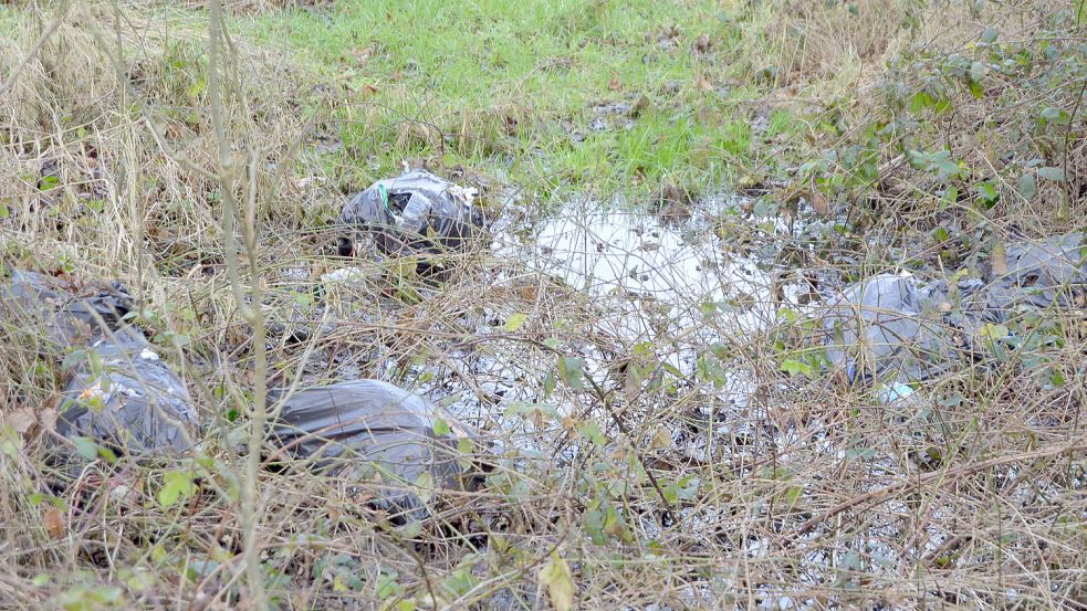 An verschiedenen Stellen am Hohen Weg in Rhaude, hinter der Wallhecke versteckt, wurden illegal Müllsäcke samt Inhalt entsorgt. Foto: Weers
