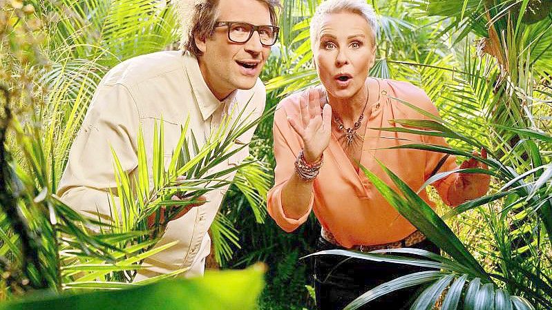 Daniel Hartwich und Sonja Zietlow, die Moderatoren des RTL-Dschungelcamp,. Foto: Stefan Gregorowius/dpa