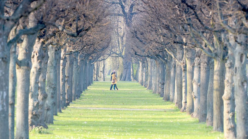 Spaziergang durch den Schlosspark Foto: dpa/Sören Strache