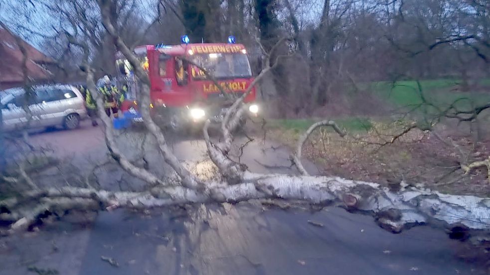 Die Feuerwehr Langholt beseitigte am Leda-Jümme-Weg einen Baum, der auf die Straße gekippt war. Foto: Feuerwehr Langholt