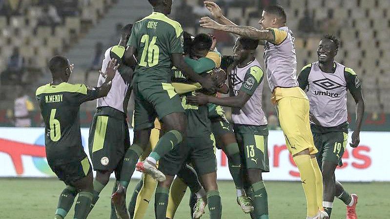 Die Spieler aus dem Senegal jubeln. Foto: Ayman Aref/dpa