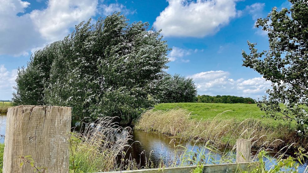 Das Rheiderland zeichnet sich durch eine besondere Kultur- und Naturlandschaft aus. Foto: privat