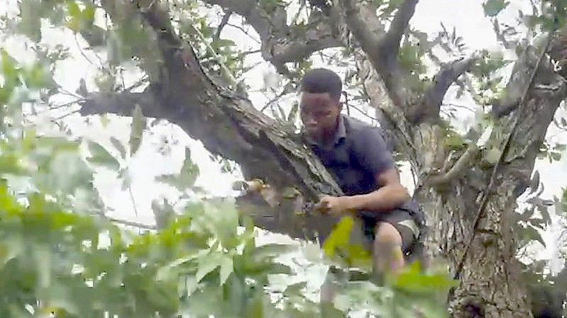 Ein Mann schneidet Äste von einem Baum, um Stromleitungen freizulegen, während er sich darauf vorbereitet, dass der tropische Wirbelsturm „Batsirai“ Zentral-Madagaskar erreicht. Foto: Uncredited/AP/dpa