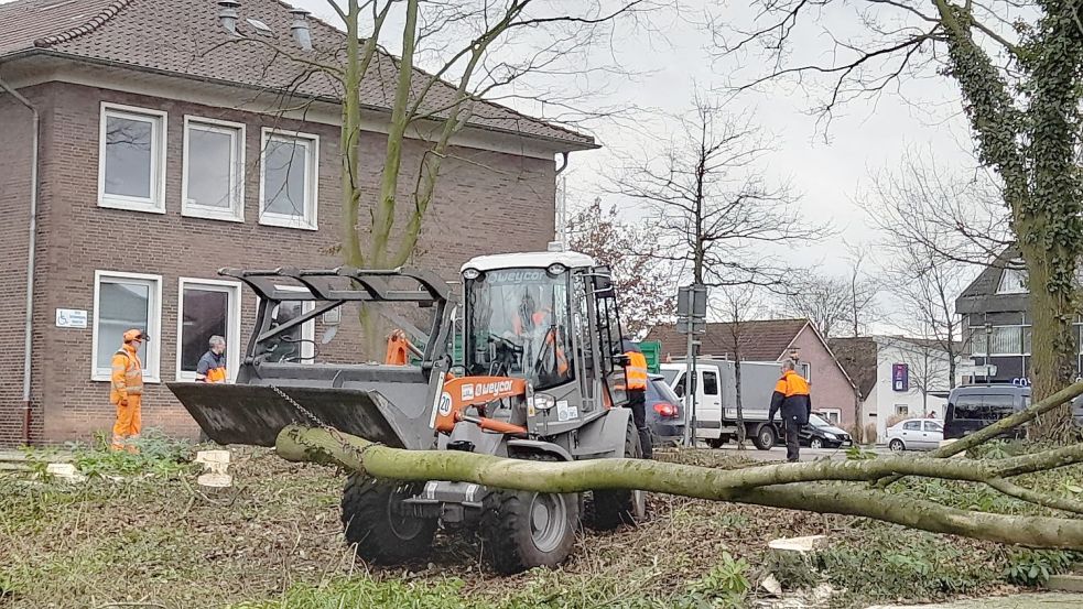 Mit schwerem Gerät rückten die Mitarbeiter des Bauhofes beim Rathaus in Barßel an und nahmen die ersten Aufräumarbeiten zum Neubau des Rathauses mit Bürgerhaus vor. Foto: Passmann