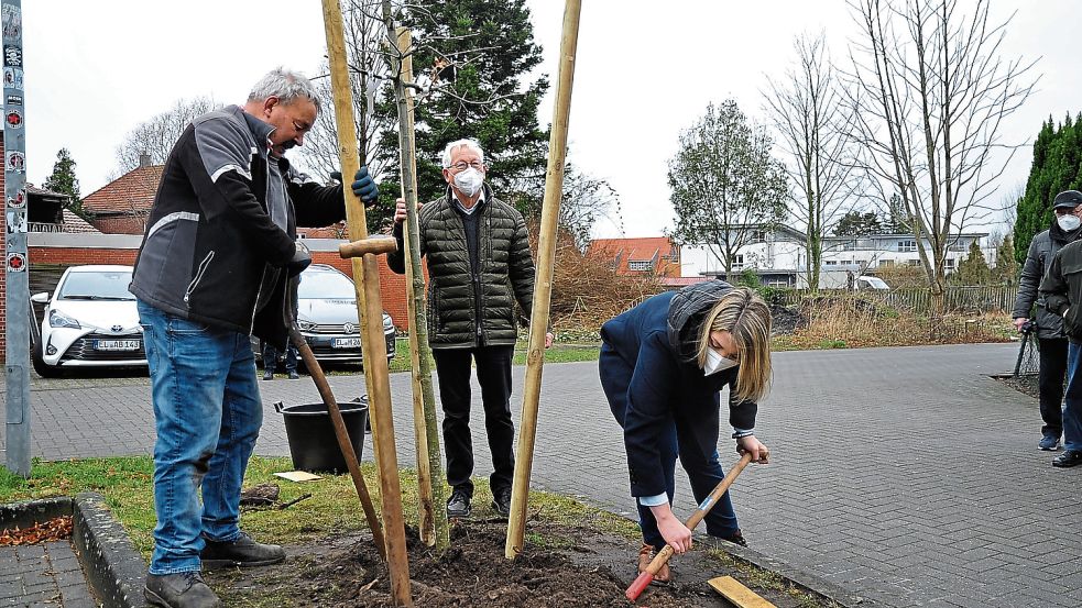 Beim Pflanzen der Sumpf-Eiche wurde Vanessa Gattung von Hans-Gerd Bukelo (l.) und Günther Döbber unterstützt. Foto: Schade