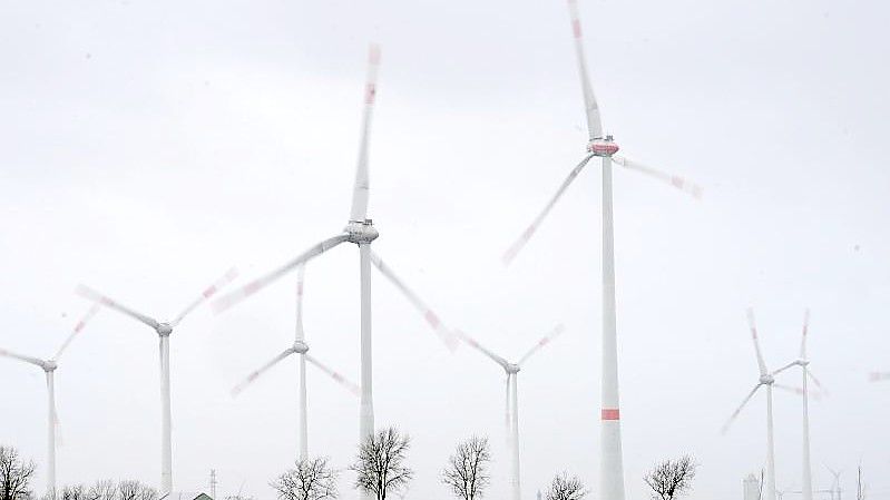 Windräder - Wann fällt die Umlage nach dem Erneuerbare-Energien-Gesetz (EEG)?. Foto: Marcus Brandt/dpa