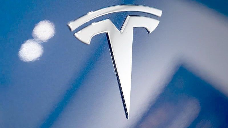 Das Tesla-Logo - Der US-Autobauer möchte in Grünheide bei Berlin E-Autos bauen. Foto: Christophe Gateau/dpa