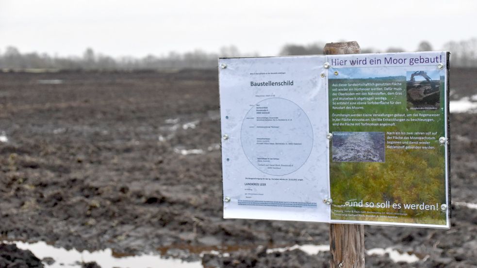„Hier wird ein Moor gebaut“ steht auf dem Schild. Die Moorfläche an der Russenstraße soll zu einem Hochmoor werden. Foto: Ammermann