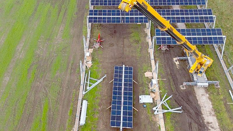 Mit einem Kran wird eine Agrar-Photovoltaik-Anlage in Niedersachsen montiert. Foto: Philipp Schulze/dpa