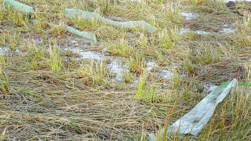 Plastikfolien wurden im Moor abgelagert. Foto: Privat