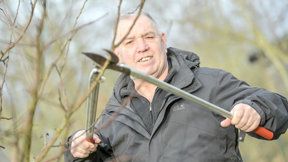 Der Baum- und Strauchschnitt sollten mit Augenmaß erfolgen, rät Gartenexperte Thomas Harms. Foto: Ortgies