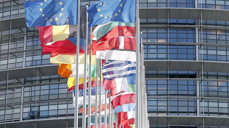 Ein mutmaßlicher Hitlergruß eines EU-Abgeordneten sorgt für Empörung im Parlament. Foto: Jean-Francois Badias/AP/dpa