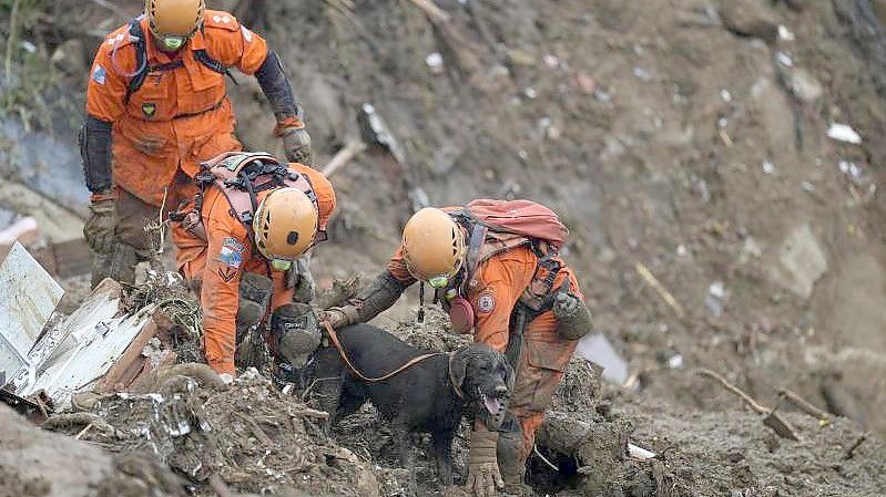 Rettungskräfte suchen im brasilianischen Petrópolis mit einem Spürhund nach Opfern des Erdrutsches. Foto: Silvia Izquierdo/AP/dpa