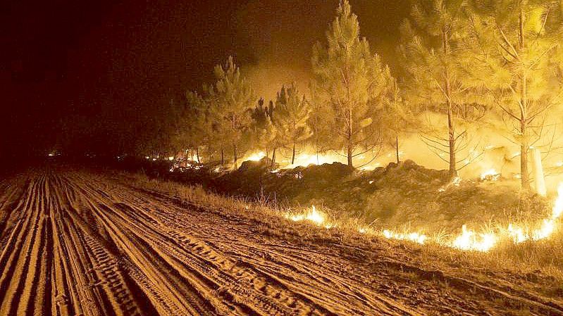 Ein Feuer wütet in einem Wald in der Nähe von Ituzaingo, in der Provinz Corrientes. Foto: Rodrigo Abd/AP/dpa