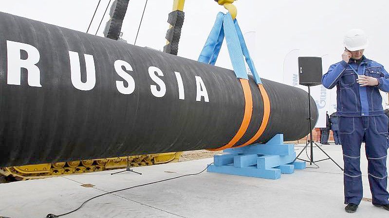 Volkswirte verweisen auf eine „sehr hohe Abhängigkeit“ der deutschen Wirtschaft vom russischen Gas und anderen Rohstoffen. Foto: Dmitry Lovetsky/AP/dpa