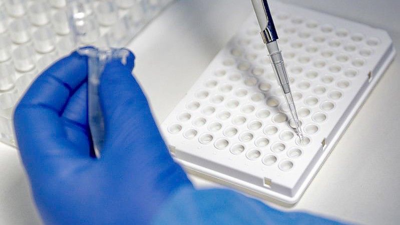 Der Omikron-Subtyp BA.2 scheint sich nach neuen Erkenntnissen in bestimmten Eigenschaften deutlich von der in Deutschland bislang dominanten Corona-Subvariante BA.1 zu unterscheiden. Foto: Henning Kaiser/dpa