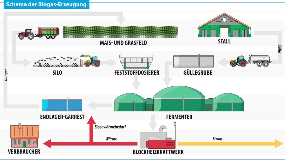 Schematisch dargestellt: So funktioniert eine Biogasanlage. Grafik: Jan Fischer