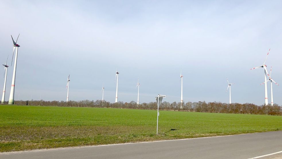 Der Windpark Saterland im Ostermoor ging 2013 ans Netz. Insgesamt stehen dort 24 Anlagen. Das Bild zeigt einen Teil des Windparks, fotografiert vom Scharrelerdamm in Richtung Ramsloh-Hollen. Foto: Kruse