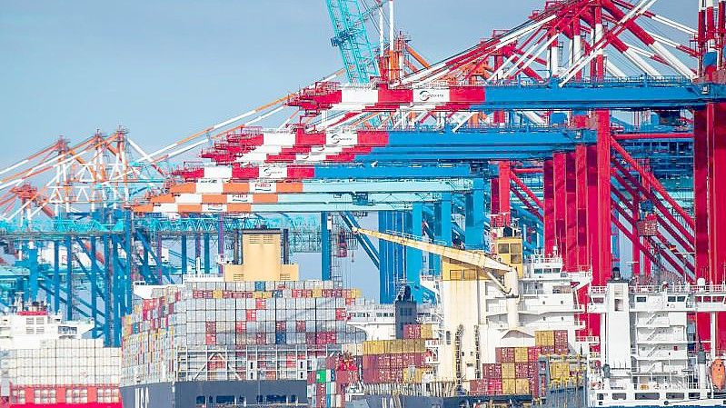 Schiffe liegen im Containerhafen in Bremerhaven. Foto: Sina Schuldt/dpa