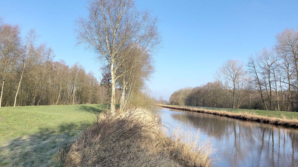 Die Sagter Ems zwischen Strücklingen und Bokelesch: Dort soll ein Teilbereich der Flussauen renaturiert werden. Foto: Kruse