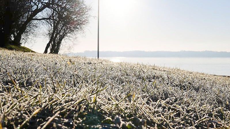 Sonnenschein auf einer mit Raureif bedeckten Wiese an der Kieler Förde. Foto: Frank Molter/dpa