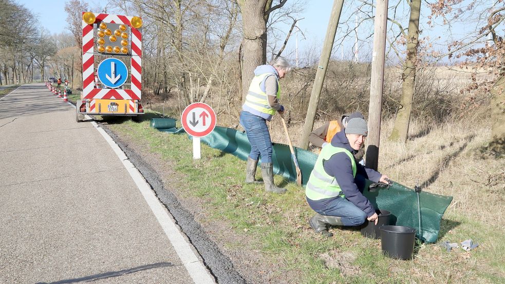 An der Deichstraße in Barßelermoor wurden durch die Firma BiopPlan nordwest aus Oldenburg sogenannte Krötenzäune errichtet. Foto: Passmann