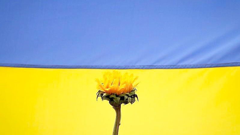 Könnte die Ukraine bald ihren Wunsch, Nato-Mitglied zu werden, aufgeben?. Foto: Jesus Vargas/