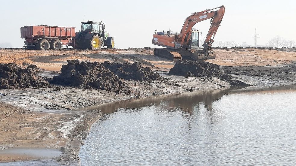 Am Teichufer wird alles für die Röhrichpflanzungen vorbereitet. Foto: Amt für regionale Landesentwicklung