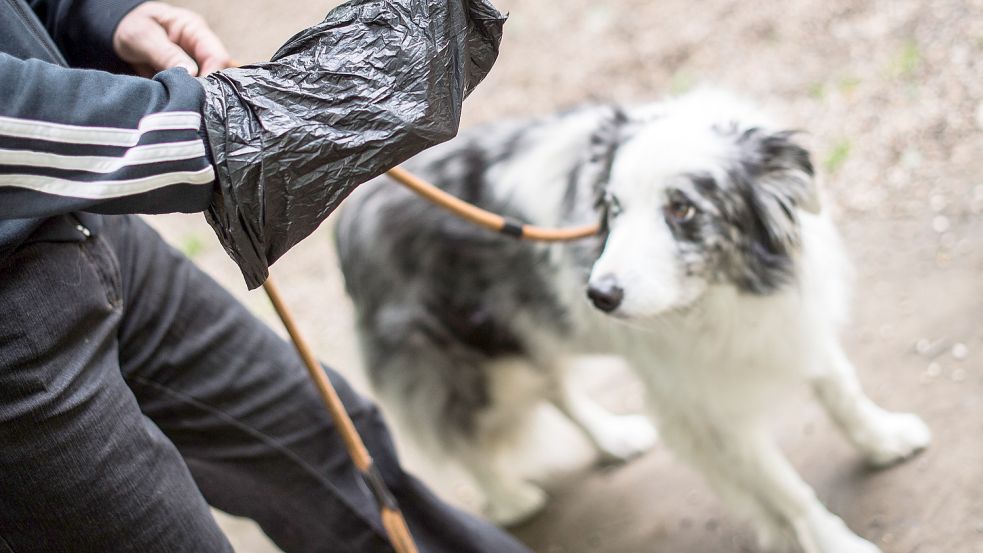 Verantwortungsbewusste Hundehalter nehmen eine Tüte zur Hand, um die Hinterlassenschaft ihres vierbeinigen Lieblings einzusammeln. Foto: Hitij/DPA