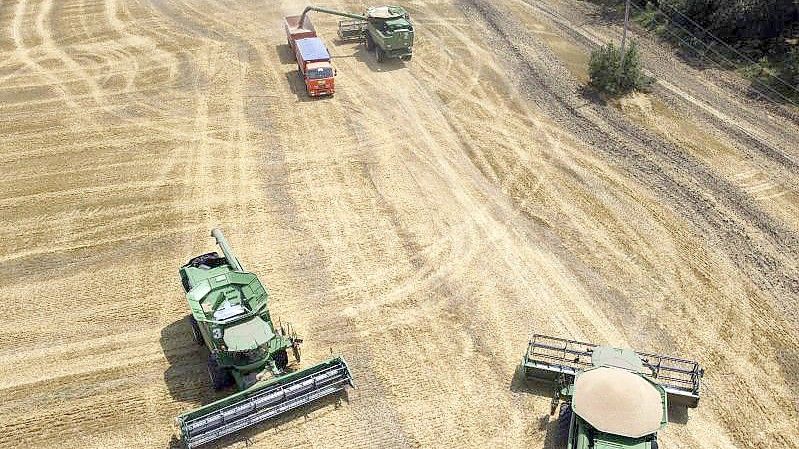 Ein Stopp der Weizenexporte aus Russland und der Ukraine führe in vielen Schwellen- und Entwicklungsländern zu Engpässen. Foto: Vitaly Timkiv/AP/dpa