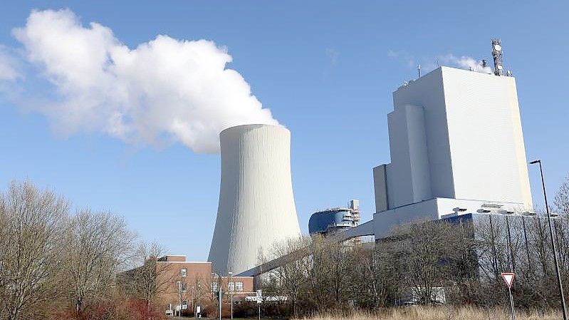 Die Ampelkoalition hat Pläne für den zum Klimaschutz. Foto: Bernd Wüstneck/dpa-Zentralbild/dpa