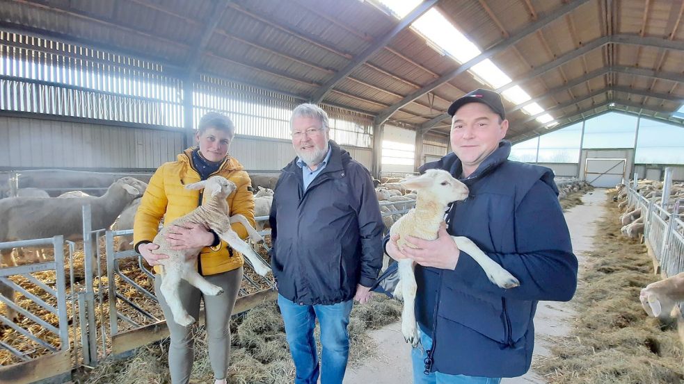 Die Schäfer Anne und Dennis Bonsemeyer, sowie Oberdeichrichter Heiko Albers (mitte) sind wegen der Anwesenheit des Wolfs beunruhigt. Foto: Kierstein